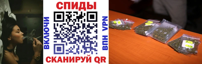 закладка  Дно  Бутират BDO 