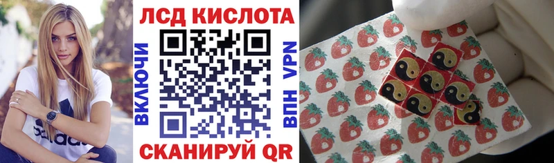Наркотические марки 1,8мг  Дно 